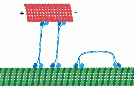 KLpA diagram