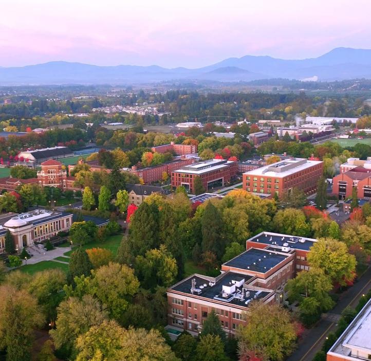 An aerial image of campus showing buildings and trees. 